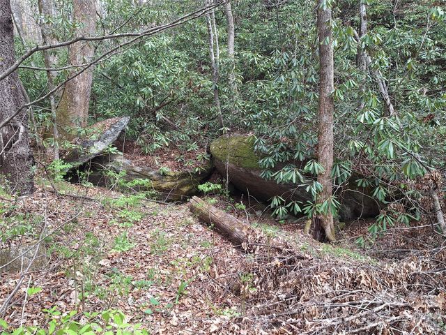 946 Lake Road, Old Fort, NC 28762