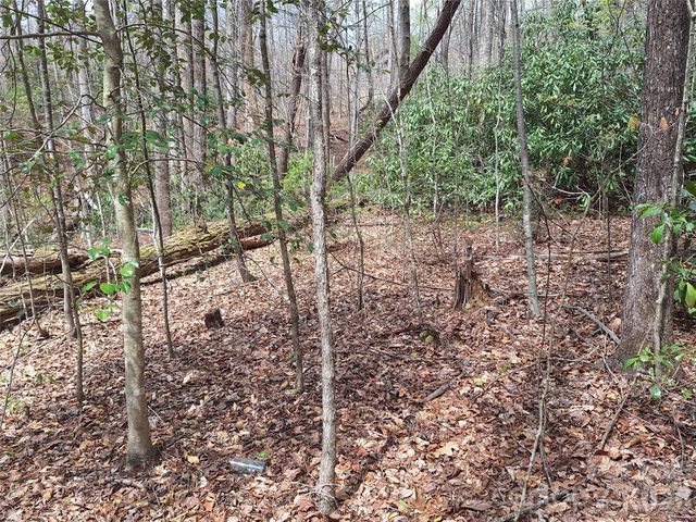 946 Lake Road, Old Fort, NC 28762