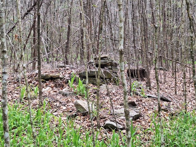 946 Lake Road, Old Fort, NC 28762