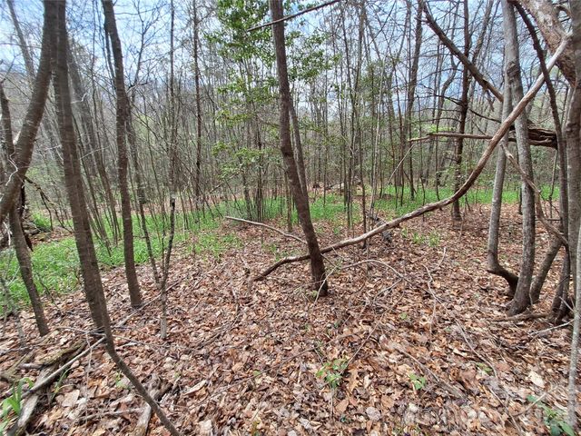 946 Lake Road, Old Fort, NC 28762