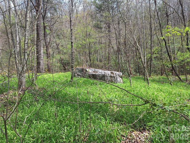 946 Lake Road, Old Fort, NC 28762
