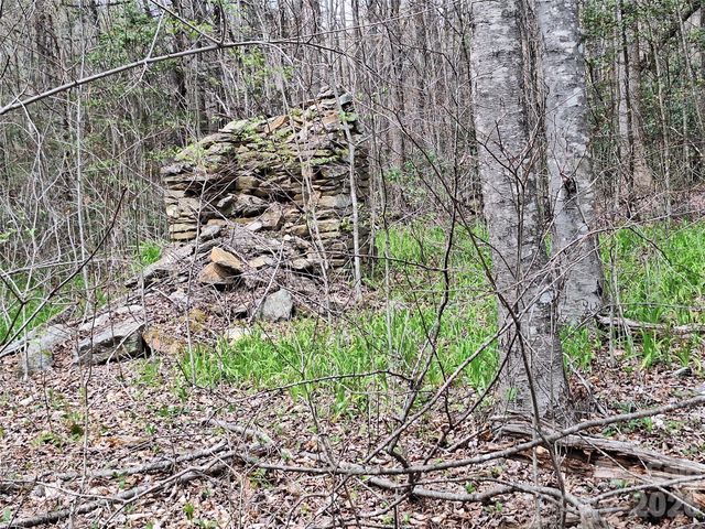 946 Lake Road, Old Fort, NC 28762