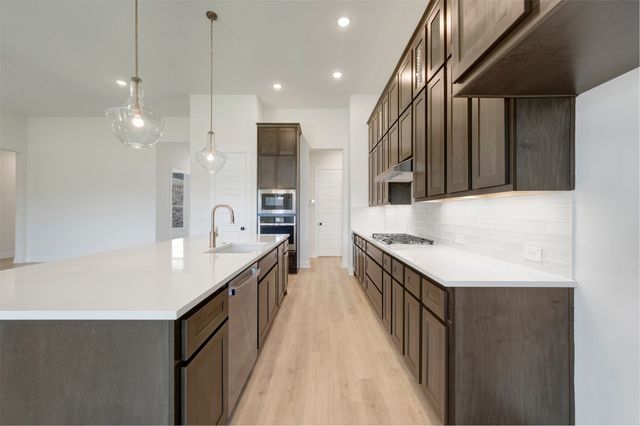 1207 Barbazzano Drive, Fate, TX 75087