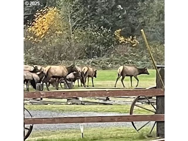 2475 S SMITH RIVER Rd, Reedsport, OR 97467