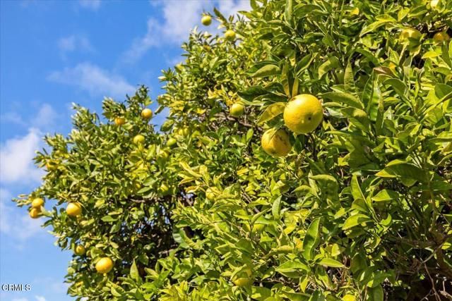 7050 El Malabar Drive, Ventura, CA 93003