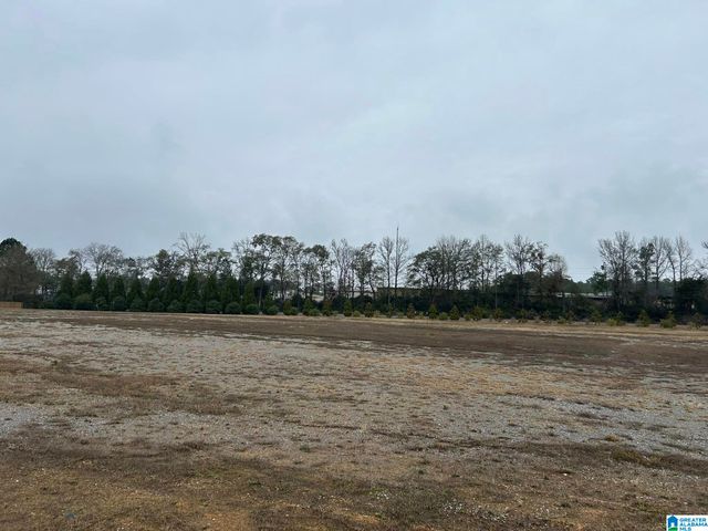 404 W COLLEGE STREET, Columbiana, AL 35051