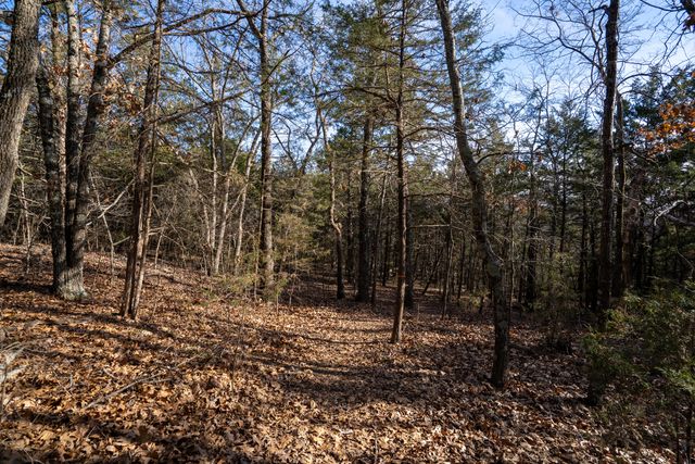 365 Majestic Drive, Branson, MO 65616