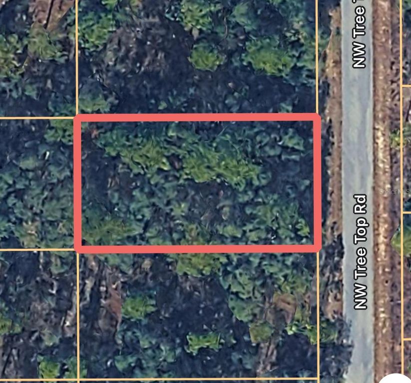 0000 NW TREETOP ROAD 007, Dunnellon, FL 34431