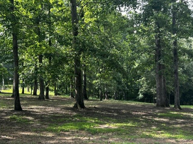 7865 Barnhill Rd, Primm Springs, TN 38476
