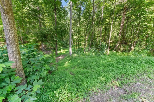 7865 Barnhill Rd, Primm Springs, TN 38476