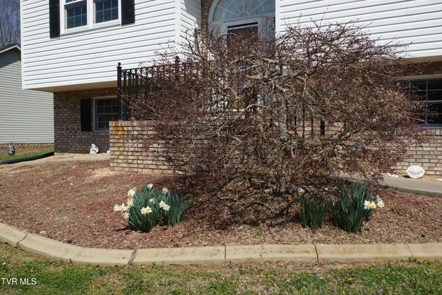 128 Meadow Springs Lane, Mount Carmel, TN 37645