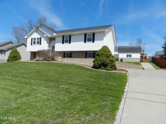 128 Meadow Springs Lane, Mount Carmel, TN 37645