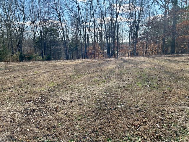 0 Stones Bend, Lynchburg, TN 37352