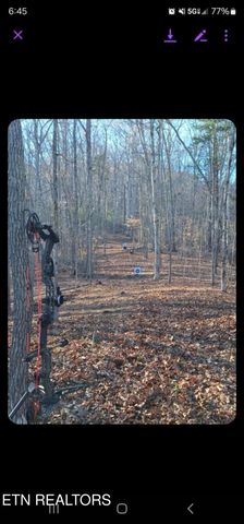 165 Tucker Lane, Lenoir City, TN 37771