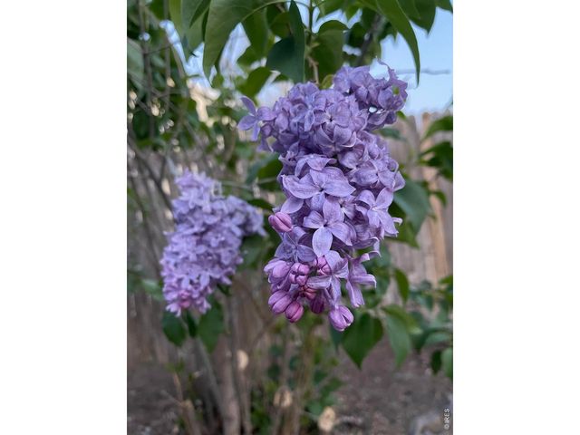 4228 E 94th Pl, Thornton, CO 80229