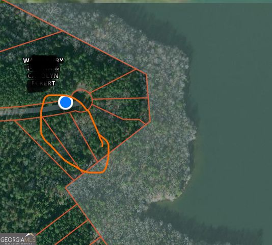 0 Panther Point, Elberton, GA 30635