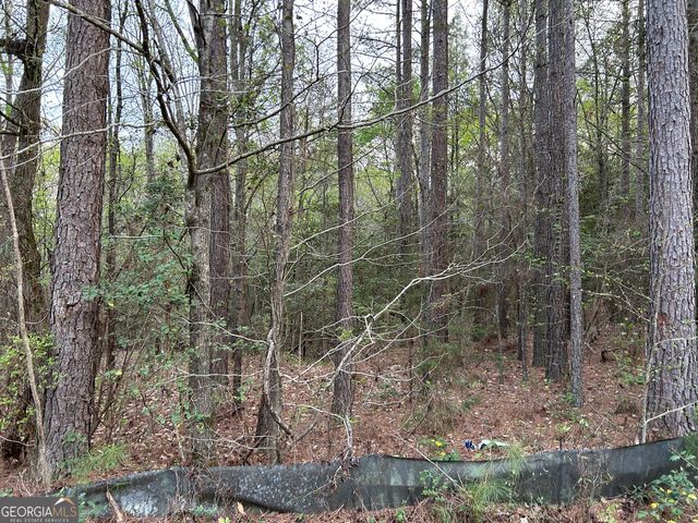 0 Panther Point, Elberton, GA 30635