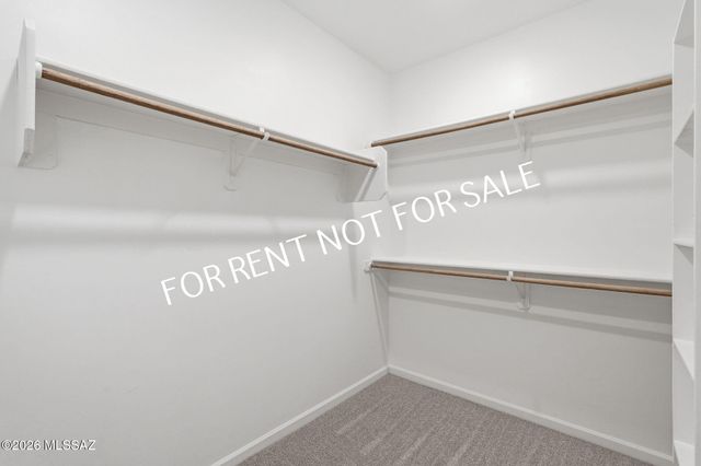 13142 E Cembeline Lane, Tucson, AZ 85747