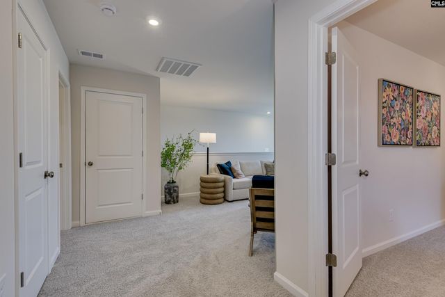 711 Top Line Street, Chapin, SC 29036