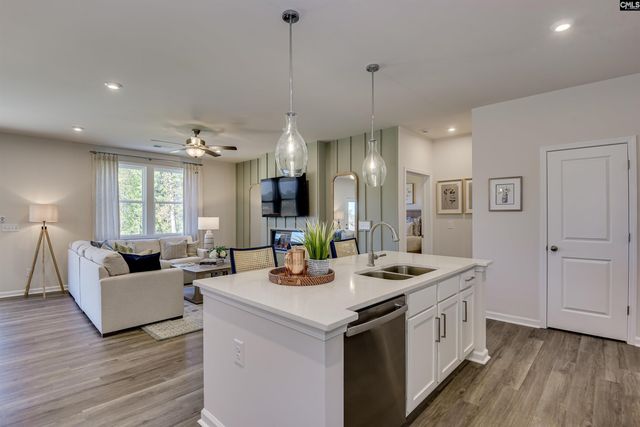 711 Top Line Street, Chapin, SC 29036