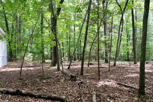 756 Ewing Cemetery Road, Spring City, TN 37381