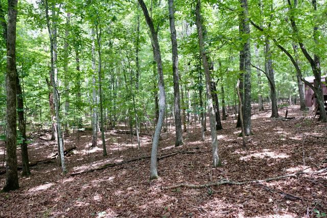 756 Ewing Cemetery Road, Spring City, TN 37381