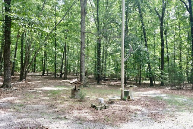 756 Ewing Cemetery Road, Spring City, TN 37381