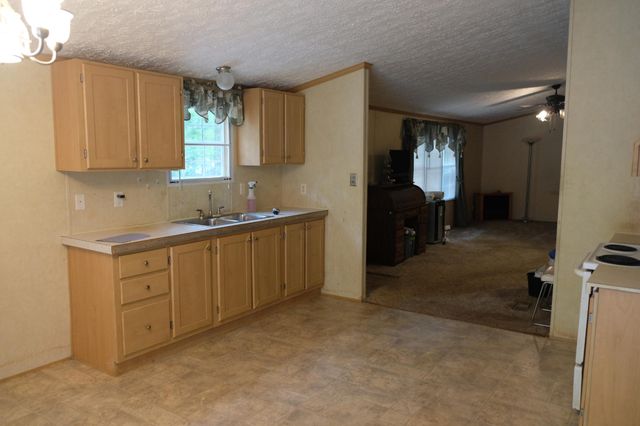 756 Ewing Cemetery Road, Spring City, TN 37381