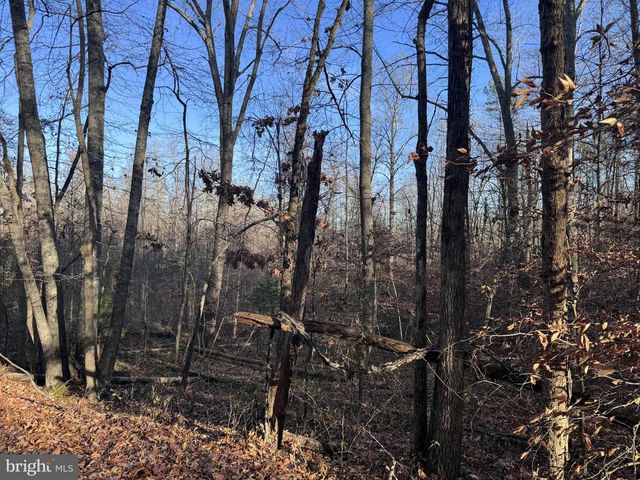 0 BUGGY LN, Rochelle, VA 22738