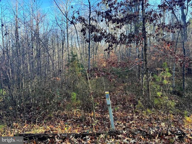 0 BUGGY LN, Rochelle, VA 22738