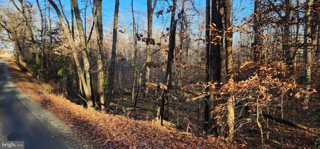 0 BUGGY LN, Rochelle, VA 22738