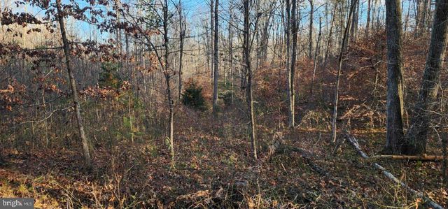 0 BUGGY LN, Rochelle, VA 22738