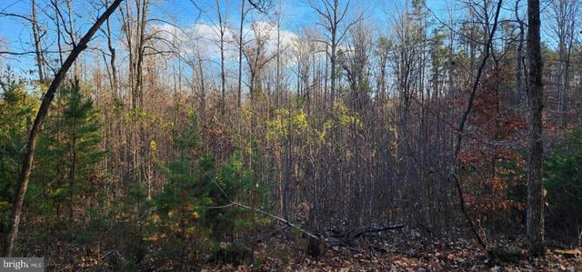 0 BUGGY LN, Rochelle, VA 22738