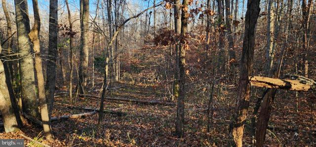 0 BUGGY LN, Rochelle, VA 22738