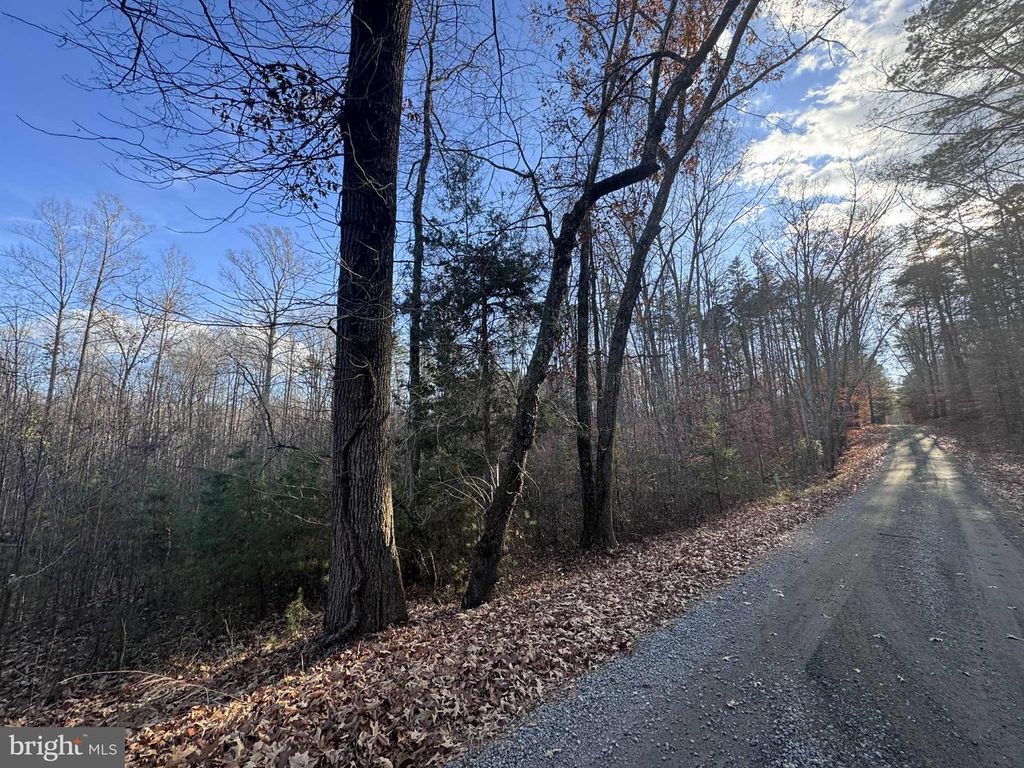 0 BUGGY LN, Rochelle, VA 22738