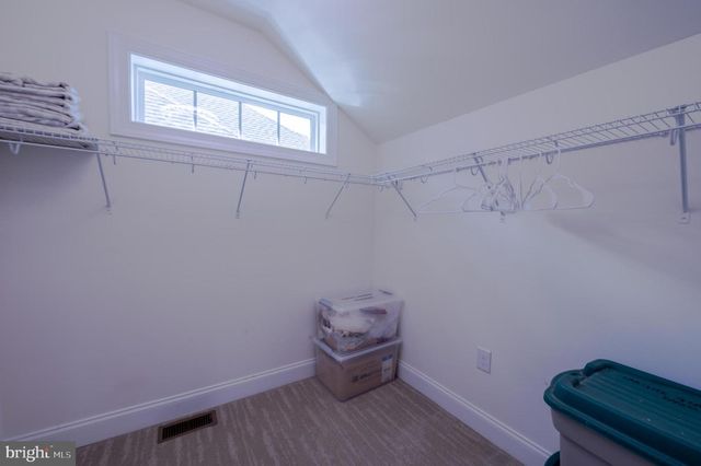 19388 LOBLOLLY CIR, Rehoboth Beach, DE 19971