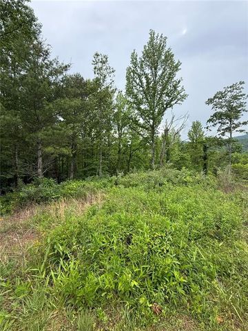Lot 6D Meadow View Lane, Cleveland, GA 30528