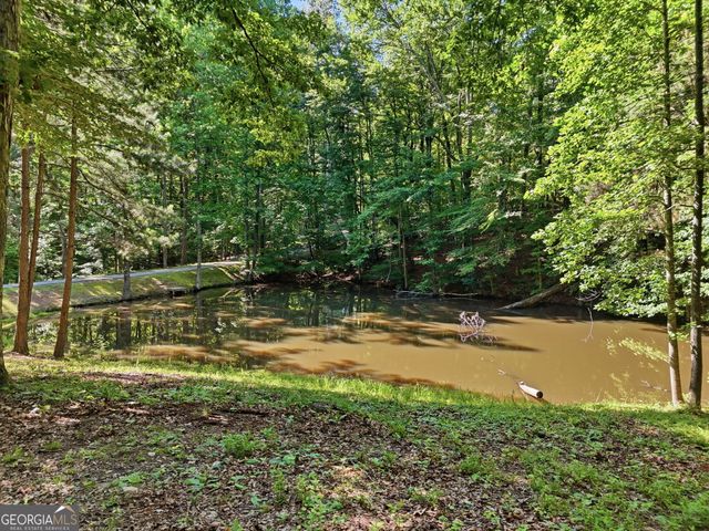 437 Twin Lakes Drive, Canton, GA 30115