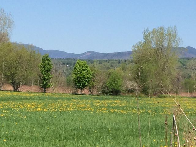 44 Park Place Unit 205, Stowe, VT 05672