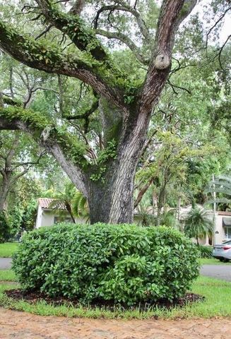 721 Tibidabo Ave, Coral Gables, FL 33143