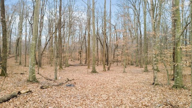 716 Potter Shop Road, Nancy, KY 42544