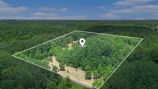 9255 Amanda Court, Mancelona, MI 49659