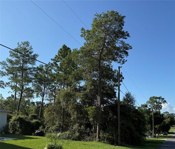 HICKORY AVENUE, Orange City, FL 32763