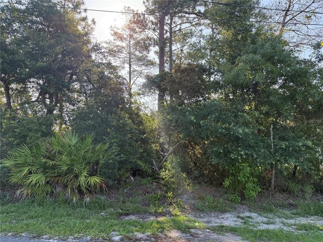 HICKORY AVENUE, Orange City, FL 32763
