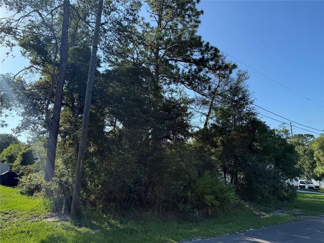HICKORY AVENUE, Orange City, FL 32763