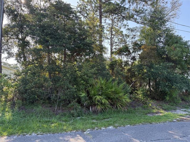 HICKORY AVENUE, Orange City, FL 32763