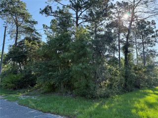 HICKORY AVENUE, Orange City, FL 32763