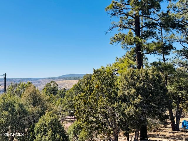 5661 COUGAR Drive, Happy Jack, AZ 86024