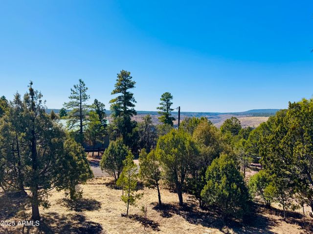 5661 COUGAR Drive, Happy Jack, AZ 86024