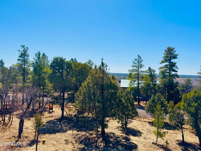 5661 COUGAR Drive, Happy Jack, AZ 86024